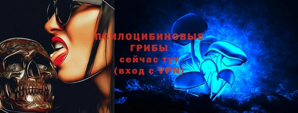 соль курить ск Алзамай