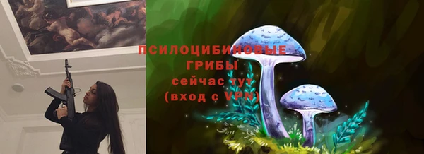 соль курить ск Алзамай