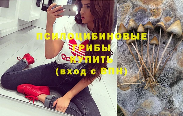 таблы Алексин